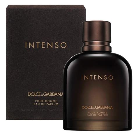 dolce gabbana pour homme 2008|d&g pour homme intenso.